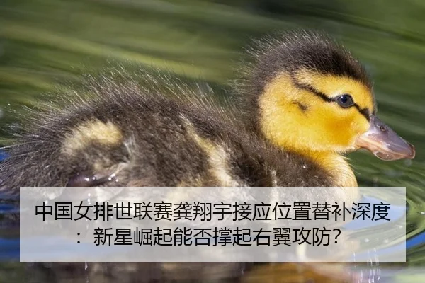 中国女排世联赛龚翔宇接应位置替补深度：新星崛起能否撑起右翼攻防？